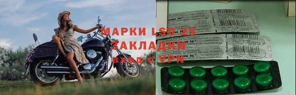 молекула духа Алзамай