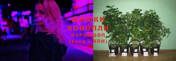 молекула духа Алзамай