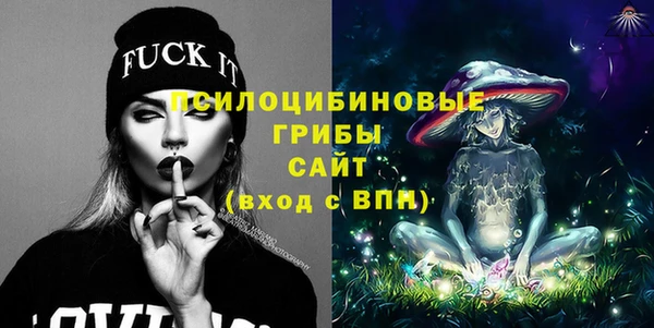 молекула духа Алзамай