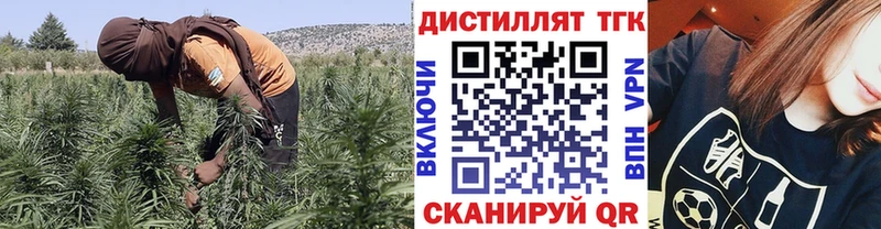 как найти   Белебей  мега зеркало  Дистиллят ТГК THC oil 