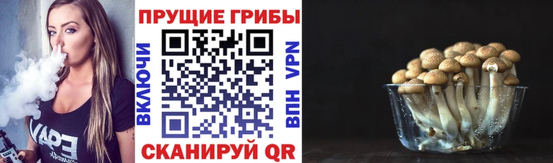 MEGA ONION  Белебей  Галлюциногенные грибы MAGIC MUSHROOMS 